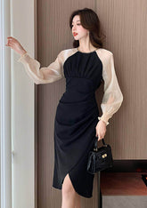 Sheer Long Sleeves Pleated Asymmetrical Hem Dress S / Black